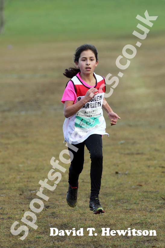 Green 435 Start First North East Harrier League,  Jarrow.